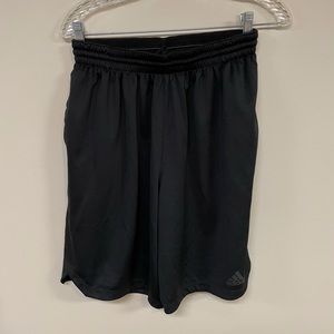 Adidas Climalite Shorts